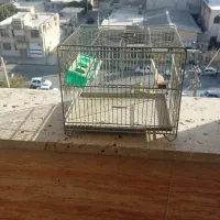 قفس پرنده سهره و قناری