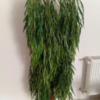 گل مصنوعی بید