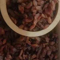 کشمش آفتابی کاشمر