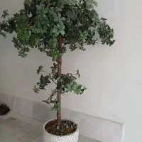 درختچه مصنوعی