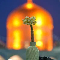 تور مشهد هفتم دی ماه حرکت از قم