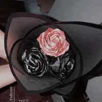 گل زیبا|گل و گیاه طبیعی|اردبیل, |دیوار