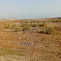 زمین-ساخت-ساز