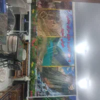 همکار خانوم