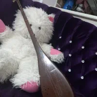 دوتاز