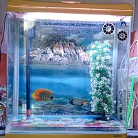 آکواریوم ماهیران