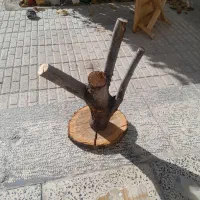 استند پرنده