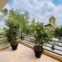 ویلا مبله طرح خاص استخردار منطقه جنگلی اصیل|فروش خانه و ویلا|چمستان, |دیوار