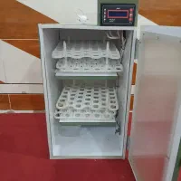 دستگاه جوجه|لوازم جانبی حیوانات|شادگان, |دیوار