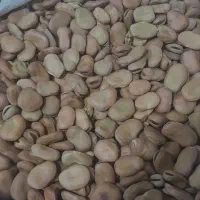 باقالا تمیز زودپز.بذرنداهفت بند|خوردنی و آشامیدنی|خان ببین, |دیوار