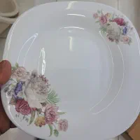 سرویس ارکوپال کاملا نو استفاده  خارجی