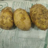 فروش خلال سیب زمینی، خورشتی