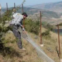 فنس کشی ، سیم خاردار، حصارکشی با بلوک|خدمات باغبانی و درختکاری|رشت, جانبازان|دیوار