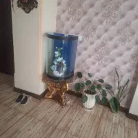 آکواریوم