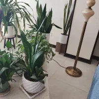 کار در منزل پاره وقت