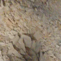 نون خشک تمیز