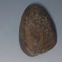 شهاب سنگ مریخی|جواهرات|سیرجان, |دیوار