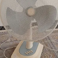پنکه سانی