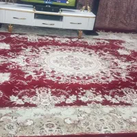 فرش|فرش|پاکدشت, پاکدشت (مامازند)|دیوار