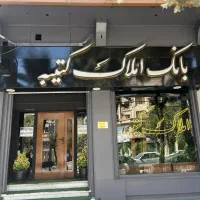 کارشناس باخودرو (آقا خانم)