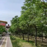 ویلایی ۳طبقه مجزا /زمین۲۱۵متری/فاز۳برخیابان اصلی