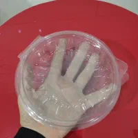 ظرف یک بار مصرف