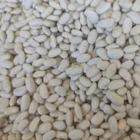 لوبیاسفید|خوردنی و آشامیدنی|ازنا, |دیوار