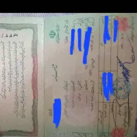 یک عدد شناسنامه گم شده