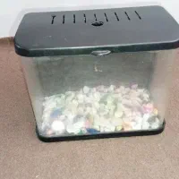 آکواریوم