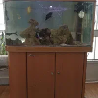 آکواریوم یو شکل (u) شیشه خم،کاملا سالم|ماهی|تهران, دهقان|دیوار