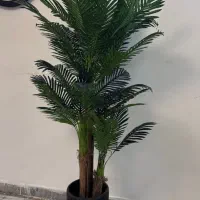 درختچه مصنوعی کنتیا