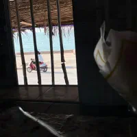 سوئیت اجاره ای روبروی ساحل