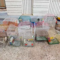 قفس انواع پرنده