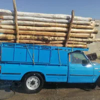 خرید چوب خشک قیمت بروز خریدار هستم