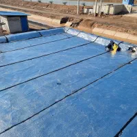 اجاره پرورش ماهی ۲۰ هکتاری