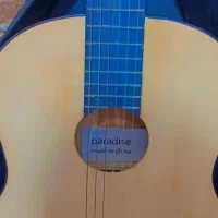 گیتار|گیتار، بیس، امپلیفایر|گنبد کاووس, |دیوار