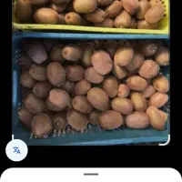 تره بارخانواده