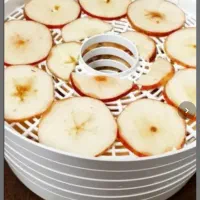 میوه و سبزی خشککن سایا در حد نو فقط ۲بار استفاده|سایر لوازم برقی|تهران, صادقیه|دیوار