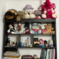 جا کتابی دیواری