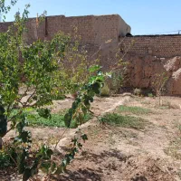 خونه-باغ-با-موقعیت-عالی-به-فروش-میرسد