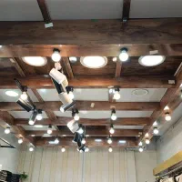 پنل چوبی سقف چراغ دار لاکچری