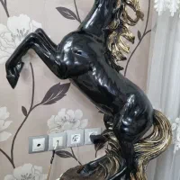 دکوری کنار سالنی|مجسمه، تندیس، ماکت|قزوین, |دیوار