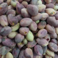 پسته کله قوچی|خوردنی و آشامیدنی|یزد, |دیوار
