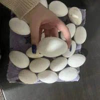 تخم غاز|حیوانات مزرعه|اسلام‌شهر, شهرک احمدیه|دیوار