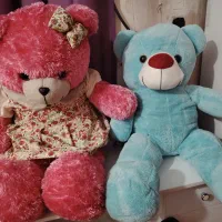 دو تا خرس تمیز در حد آک