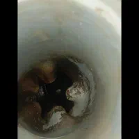 کارشناس نم ساختمان بادوربین.رفع نم بدونخرابی ضمانت|خدمات پیشه و مهارت|نیشابور, ناسیونال|دیوار