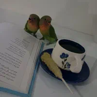 کادویی سرامیک دست‌ساز