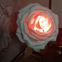 گل اباژور .قابل شستشو فوم وپایه دار ماهدشت