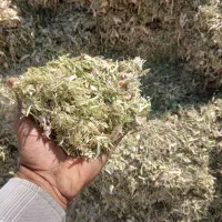 کاه لوبیا خورده درجه یک به شرط گیفیت