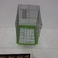 قفس عروس هلندی و پرنده